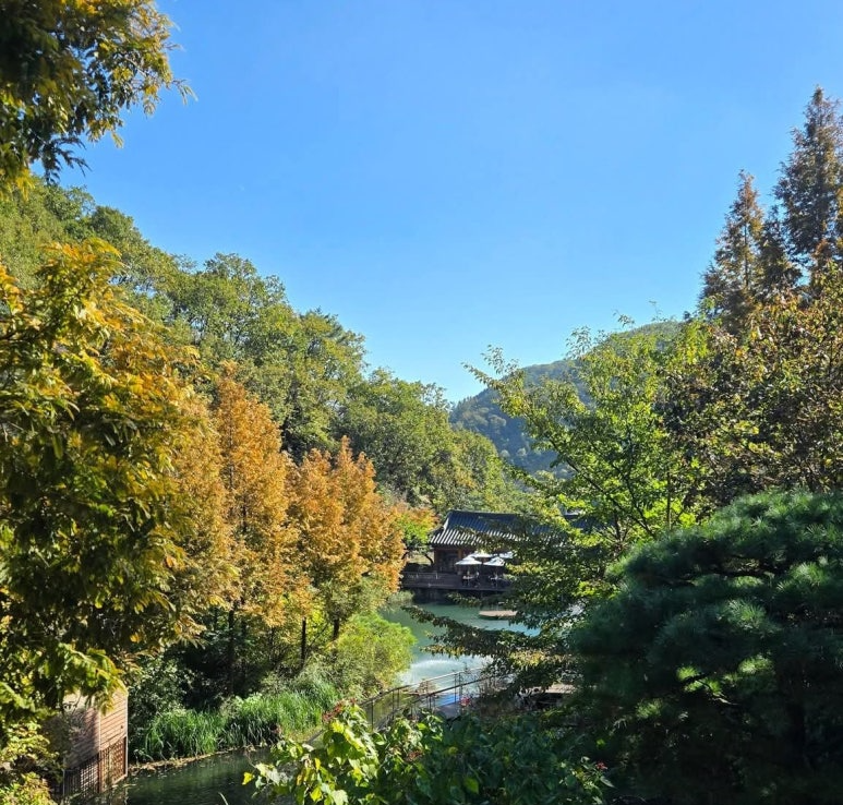 화담숲 단풍시기 예약 단풍명소