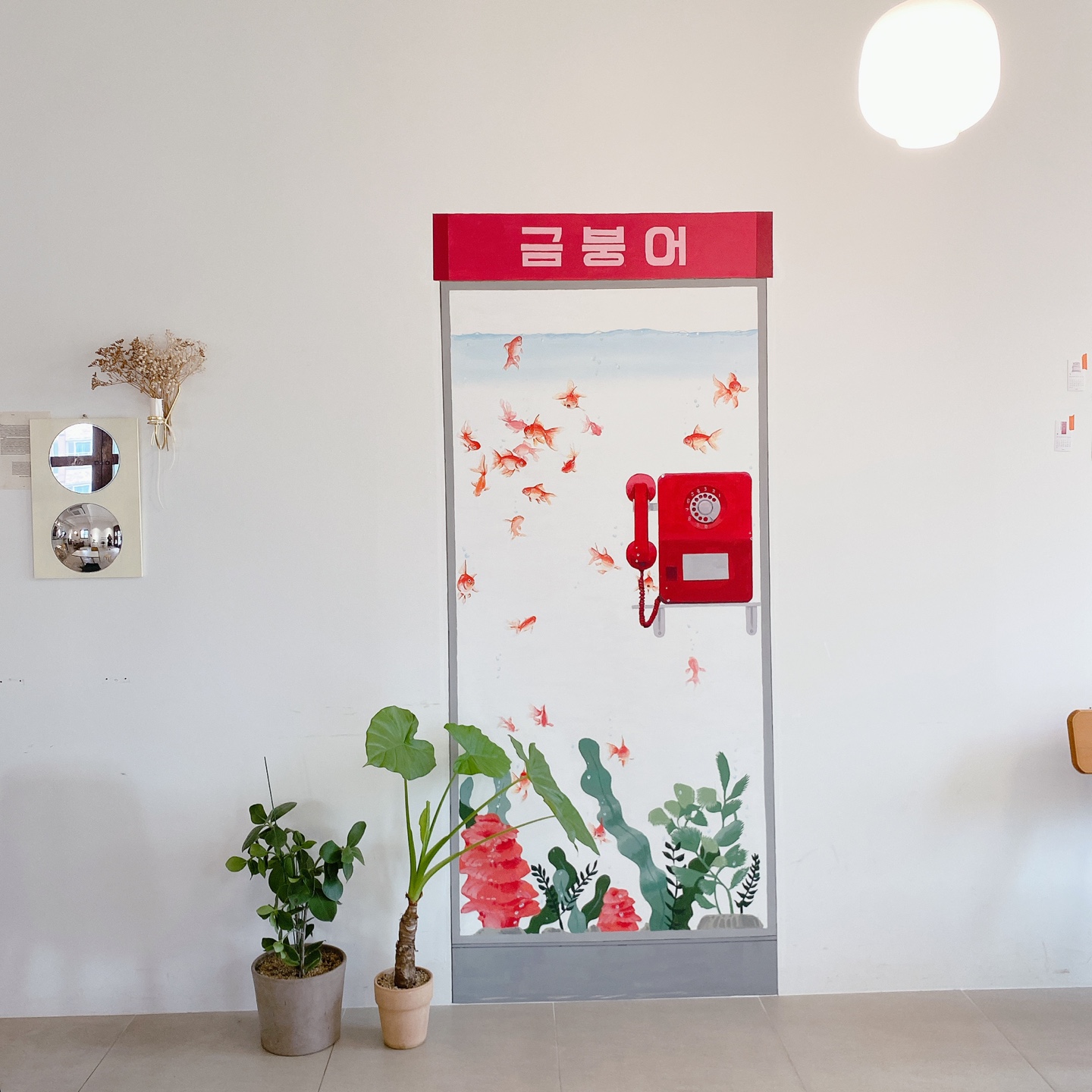 제주 공항근처 이도이동 제주도민 카페 3초기억 카페 금붕어 주차 리뷰 추천