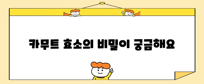 카무트 효소의 놀라운 효능과 효과