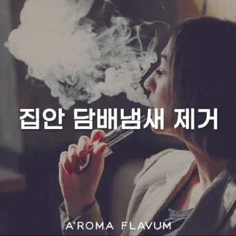 담배 냄새 커튼 탈취 식초분무와 통풍 방향제 대신_15