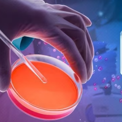 알지노믹스 관련주 대장주 테마주 수혜주 TOP5