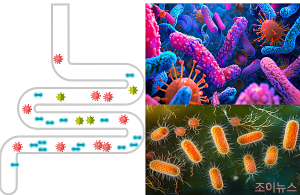 장내 미생물은 면역력 강화를 위한 숨겨진 열쇠입니다.