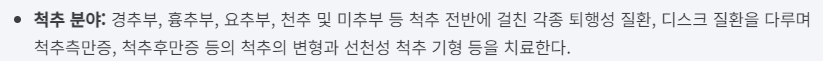 척추 질환의 종류와 치료 분야 안내