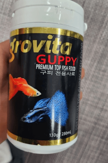 구피를 잘 키우기 위한 최적의 사육환경