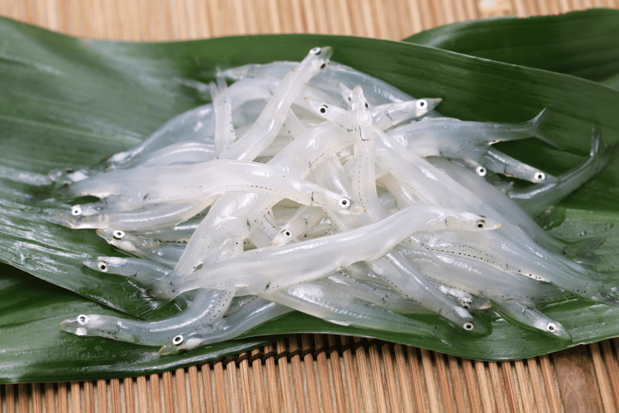 겨울 여행 얼음낚시 체험과 빙어축제