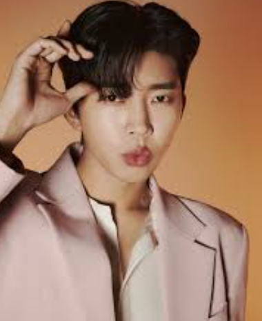 삼시세끼 라이트 임영웅 다시보기 