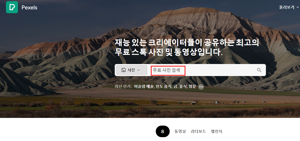 pexels 사이트