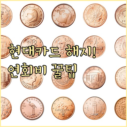 연회비 반환액 계산법 현대카드 해지 ..