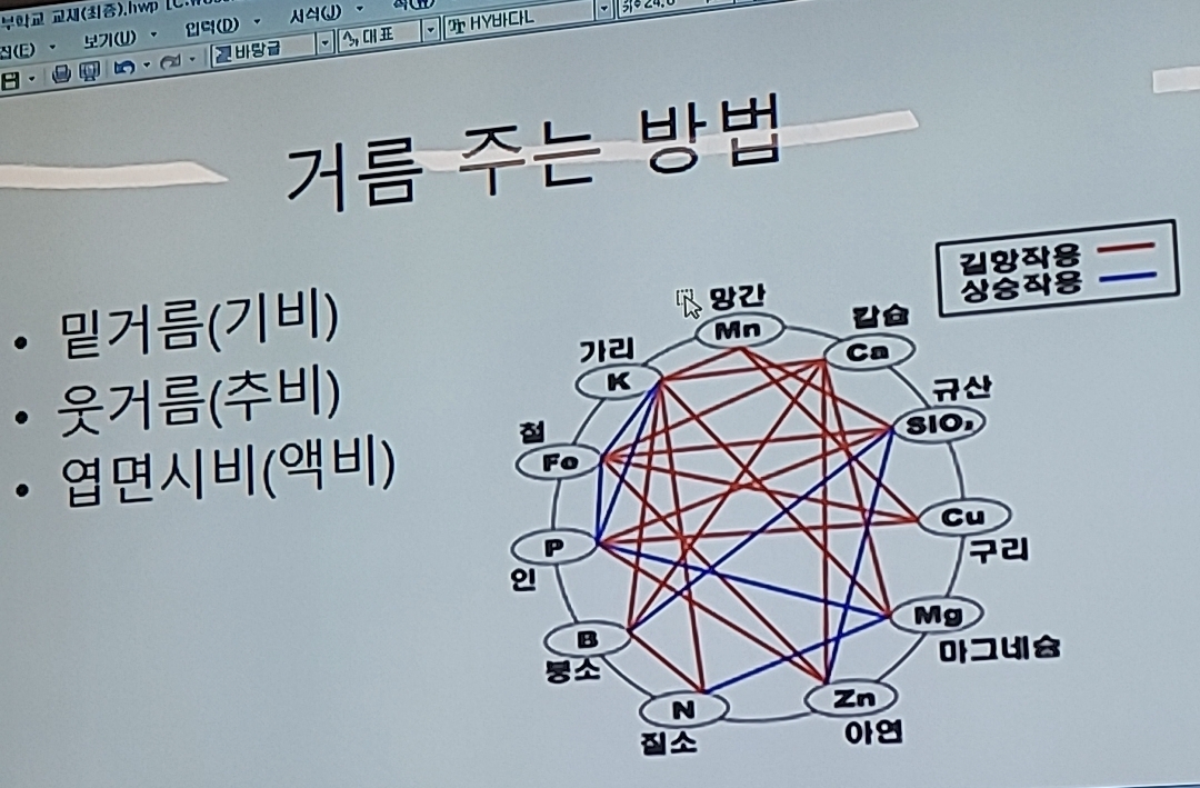 텃밭거름 주는 방법