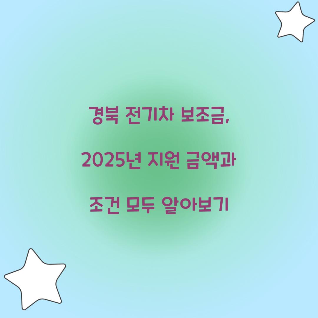 경북 전기차 보조금