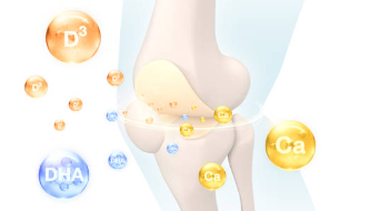 관절 영양제