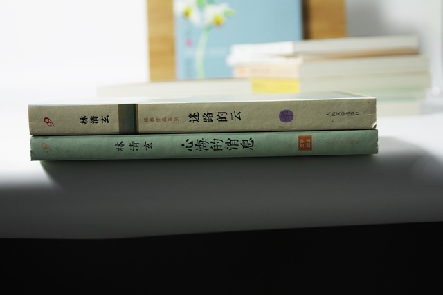책상위에 한문으로 써진 책 두권