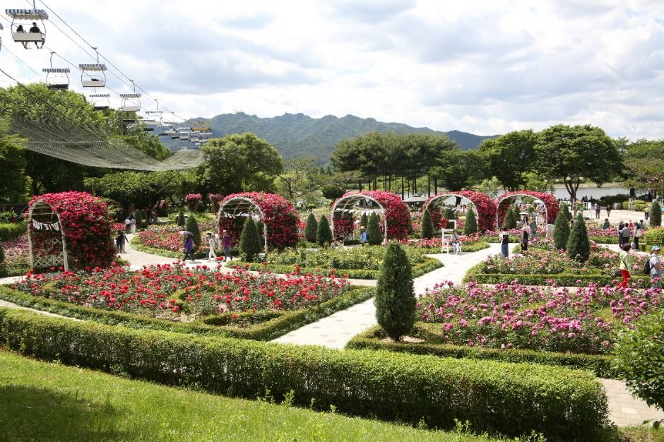 서울 가볼만한곳 대공원 장미원축제