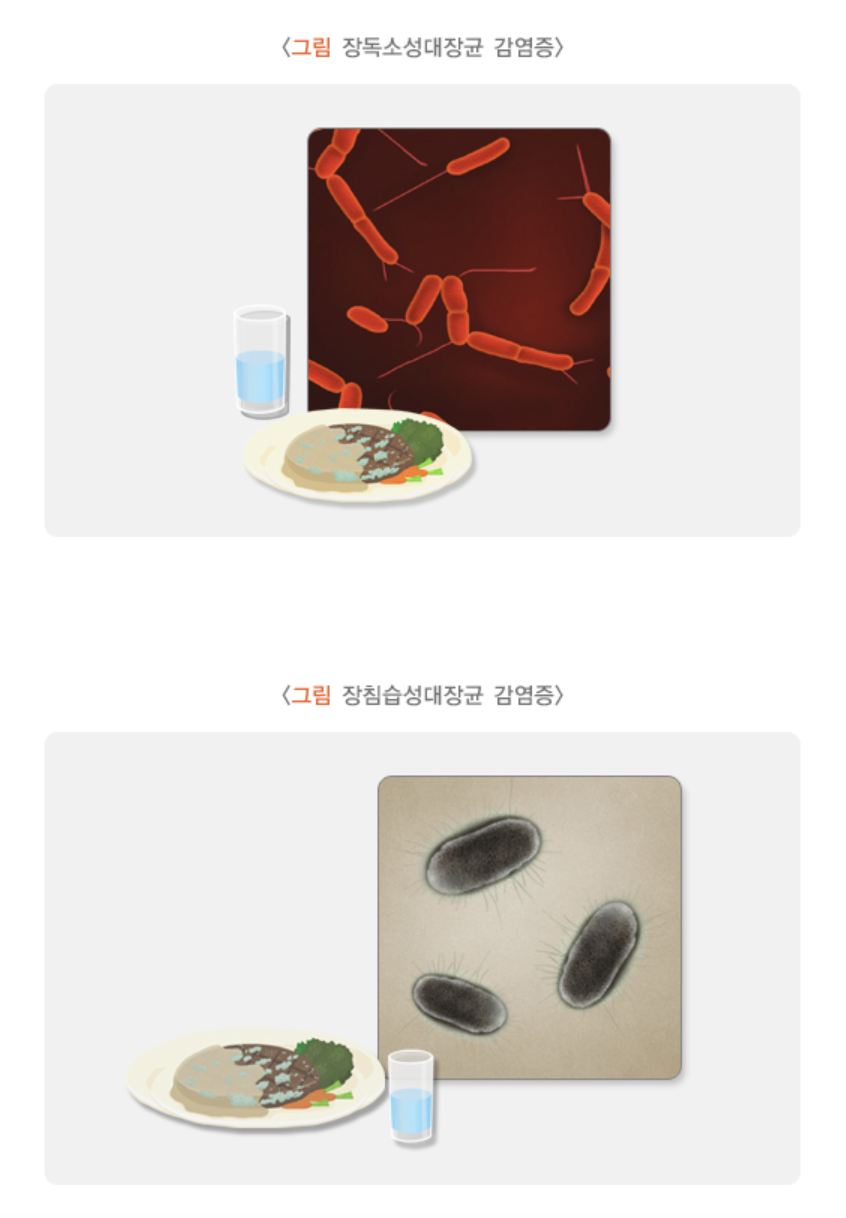 이외의 세균에 의한 감염증