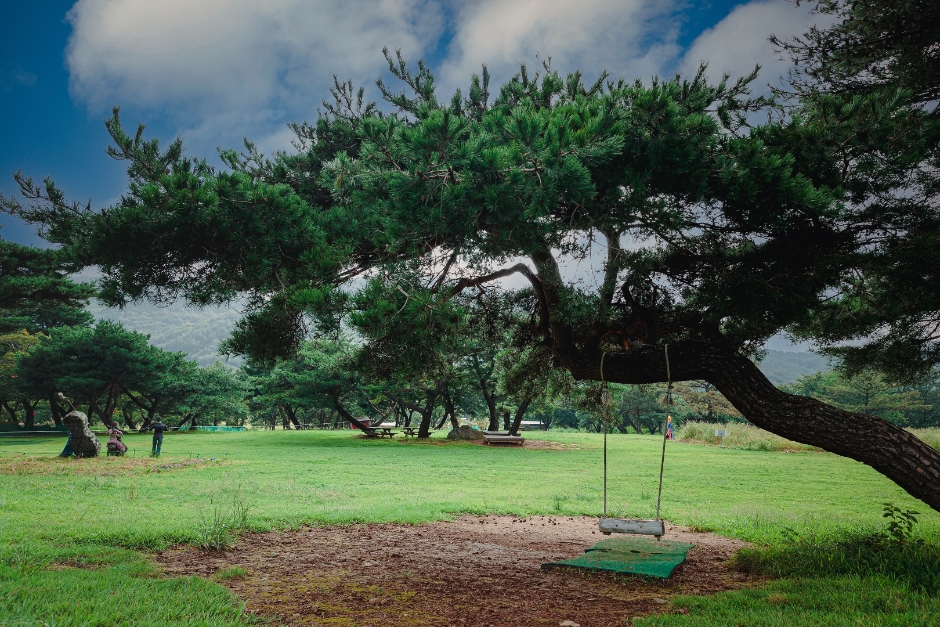 경주 가볼만한곳 베스트10