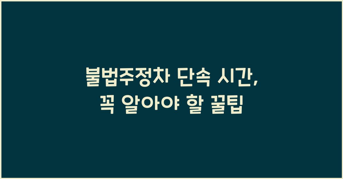 불법주정차 단속 시간