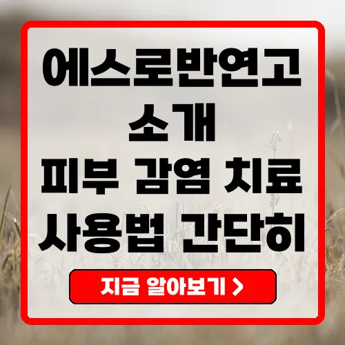 에스로반연고 피부 감염 치료의 최적 선택