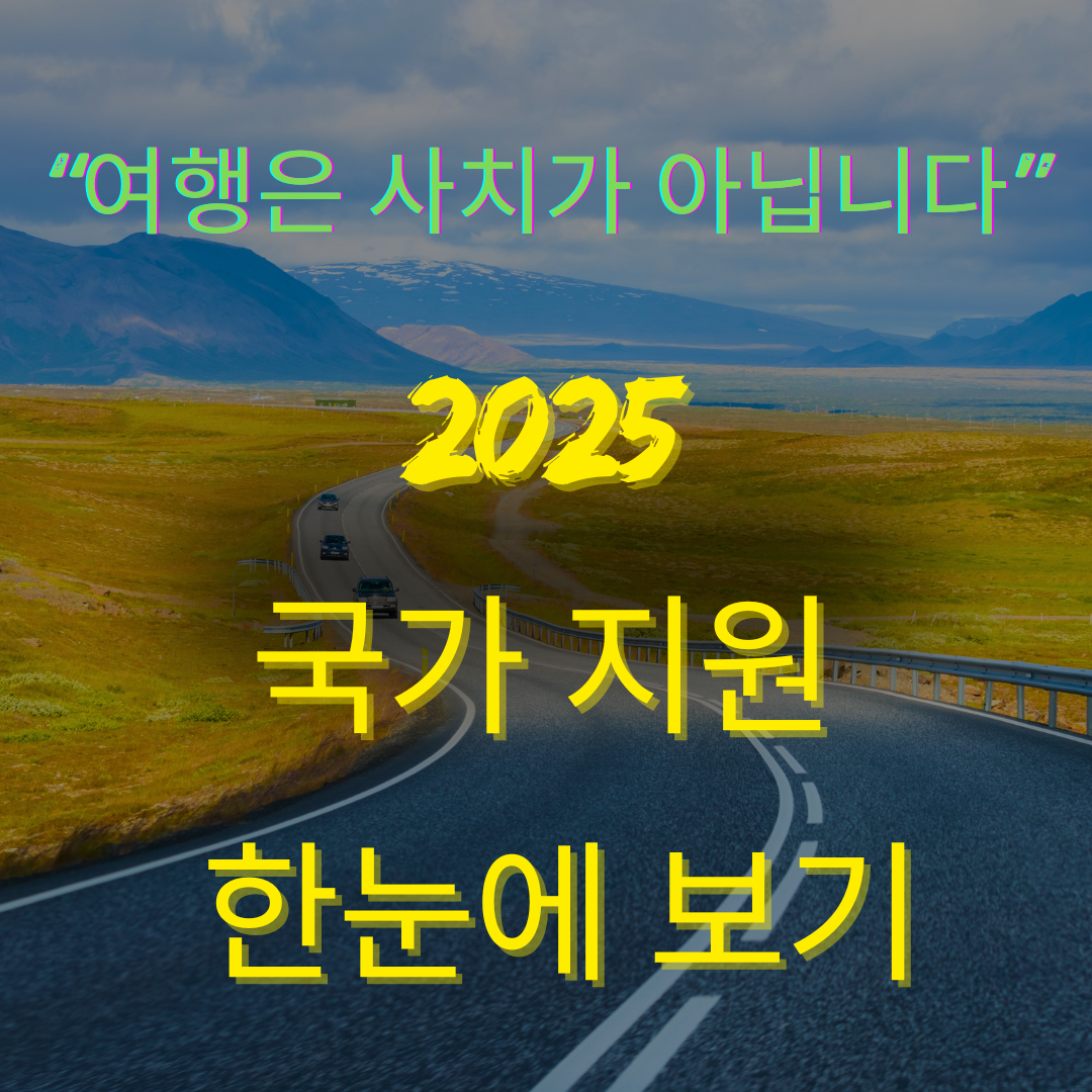 2025년 여행지원금 정책 개요