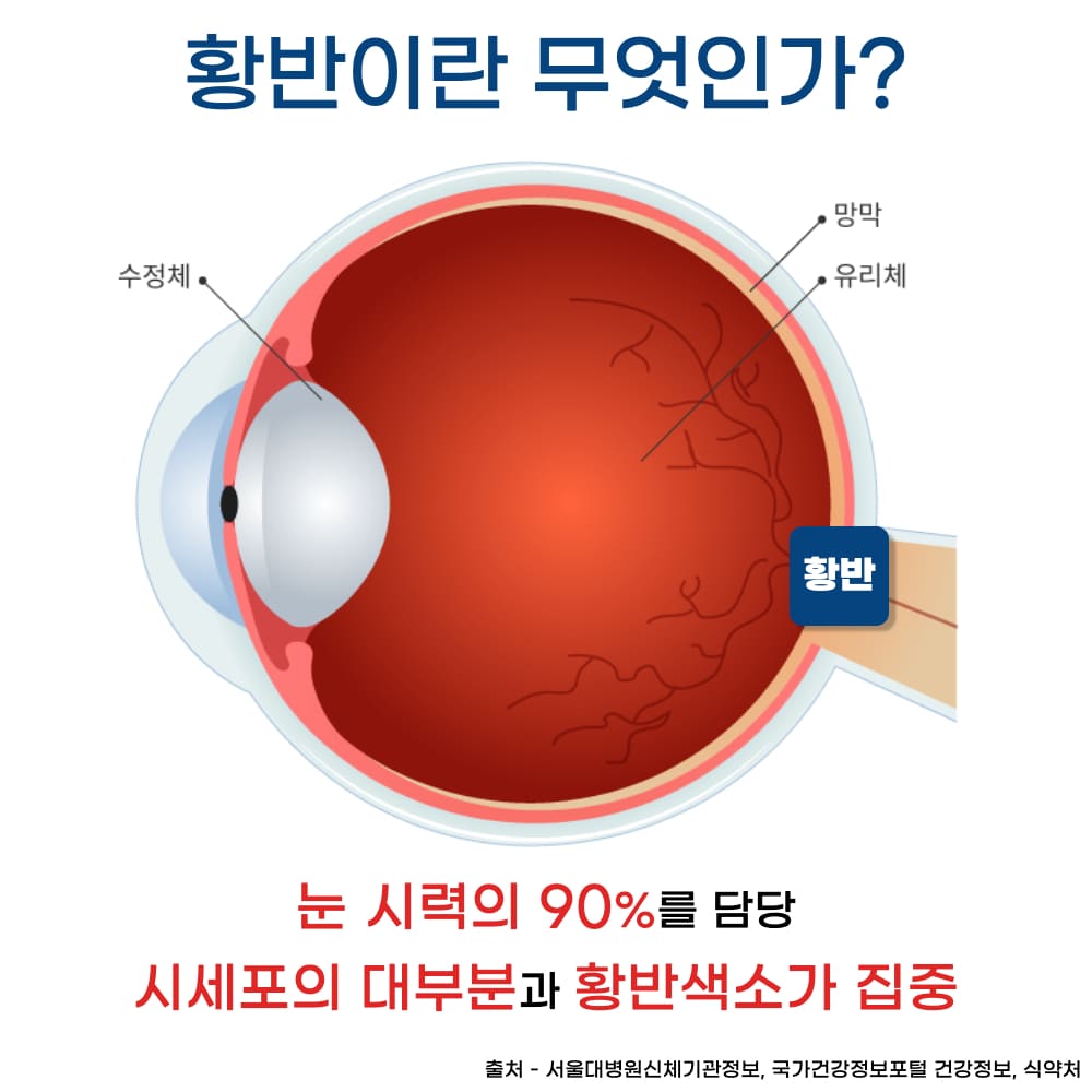 루테인