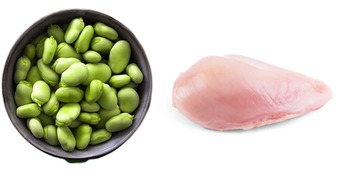 파바빈과닭가슴살
