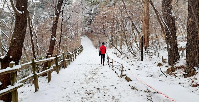 연말 새해 카운트다운·해돋이·해맞이 명소와 걷기 좋은 길 추천