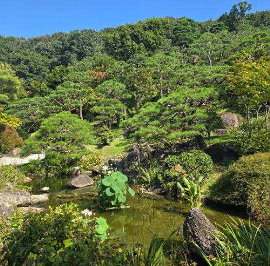 화담숲 예약하기