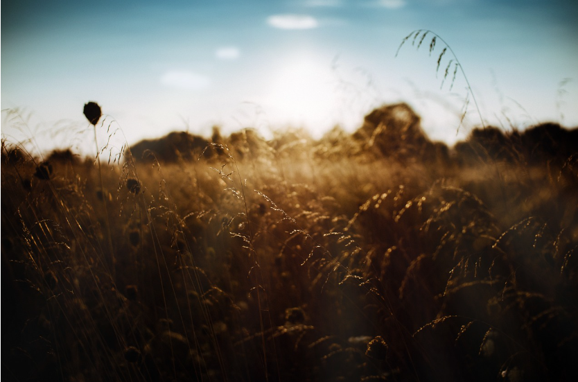 전남 장흥 유치면 : 고요한 자연과 역사가 있는 마을