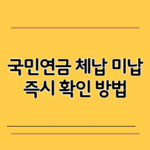 국민연금 체납 미납 즉시 확인 방법