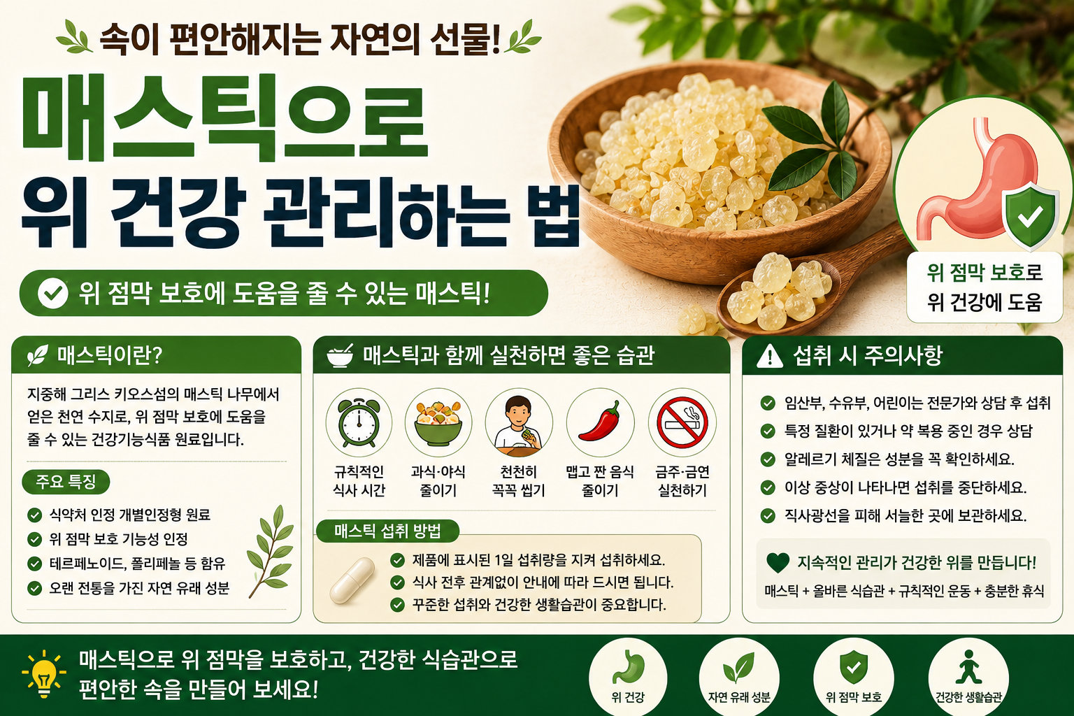 매스틱으로 위 건강 관리하는 법