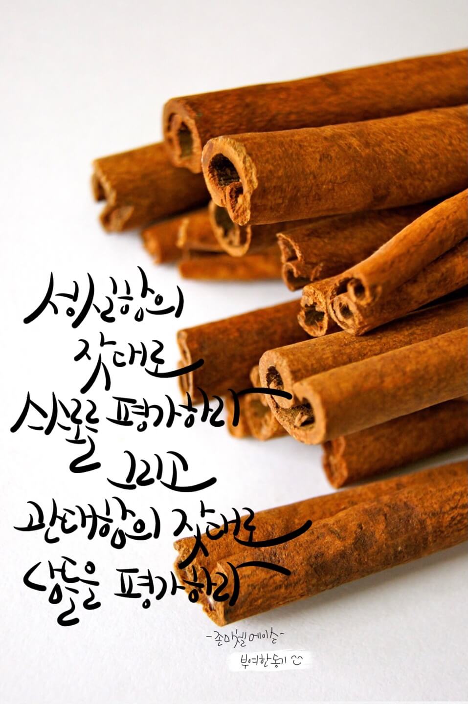 존 미첼 메이슨