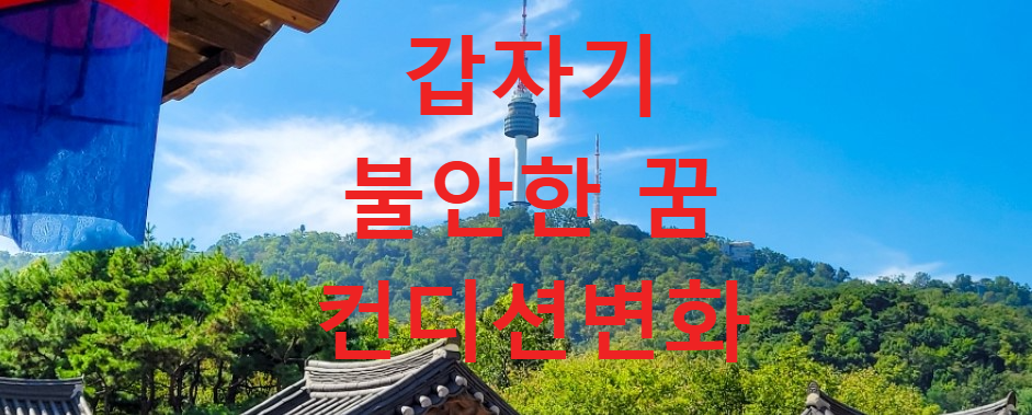 꿈과건강
