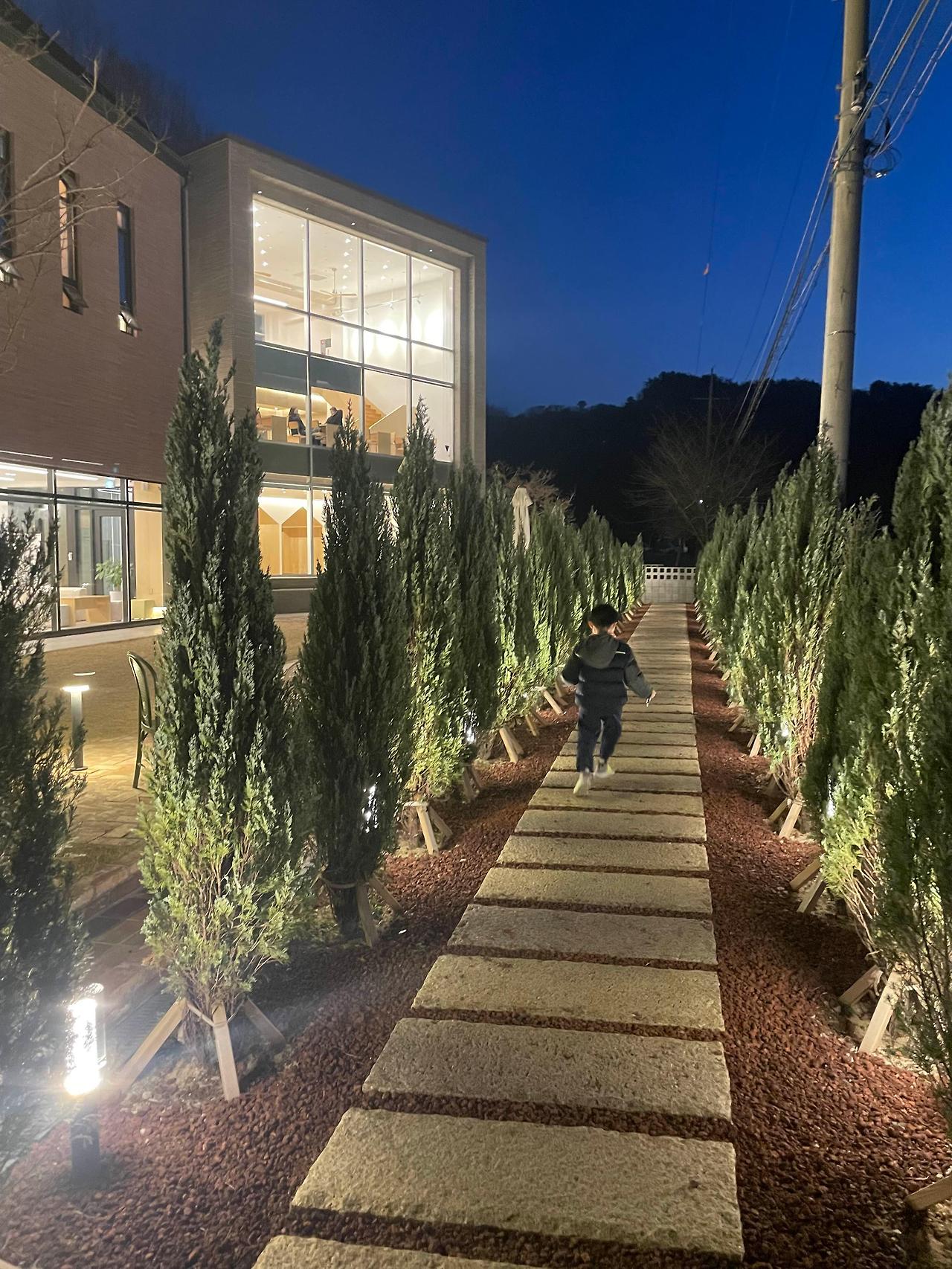 포항 반다이크 브라운