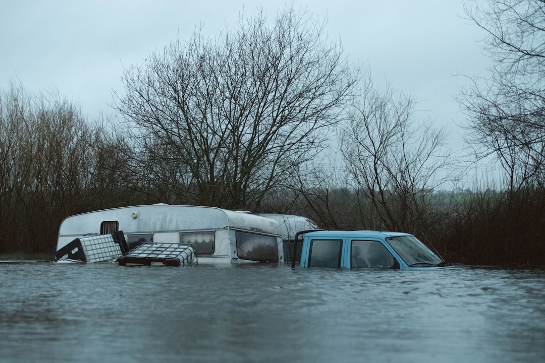 'Insurance'