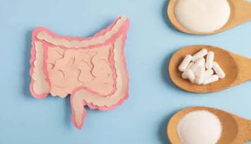 🍄프로바이오틱스 진짜 효과: 유산균, 정말 몸에 좋은 걸까? 과학적으로 정리