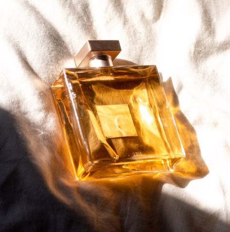 성년의 날 딸 아들 선물 추천