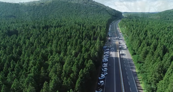 봄에 떠나기 좋은 여행지