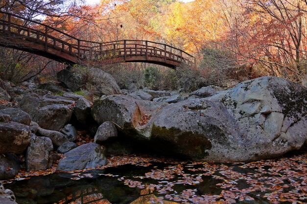 속리산 장각동계곡