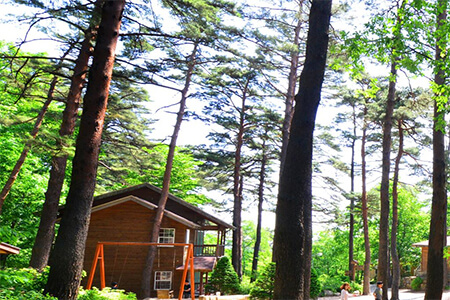 대관령 휴양림 2