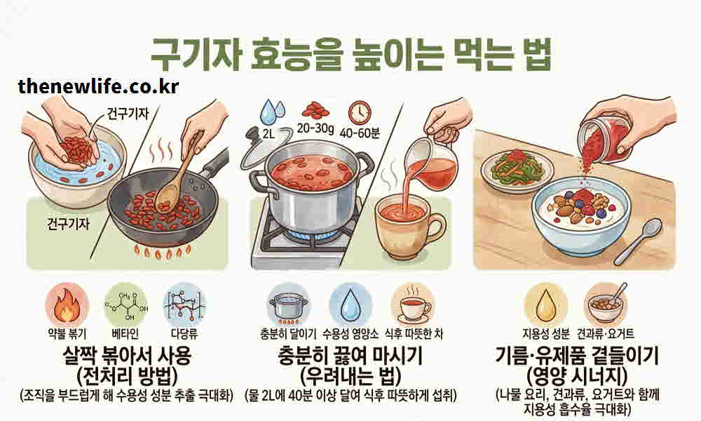 구기자 효능 높이는 먹는 법