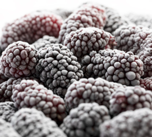 냉동오디 먹는법2