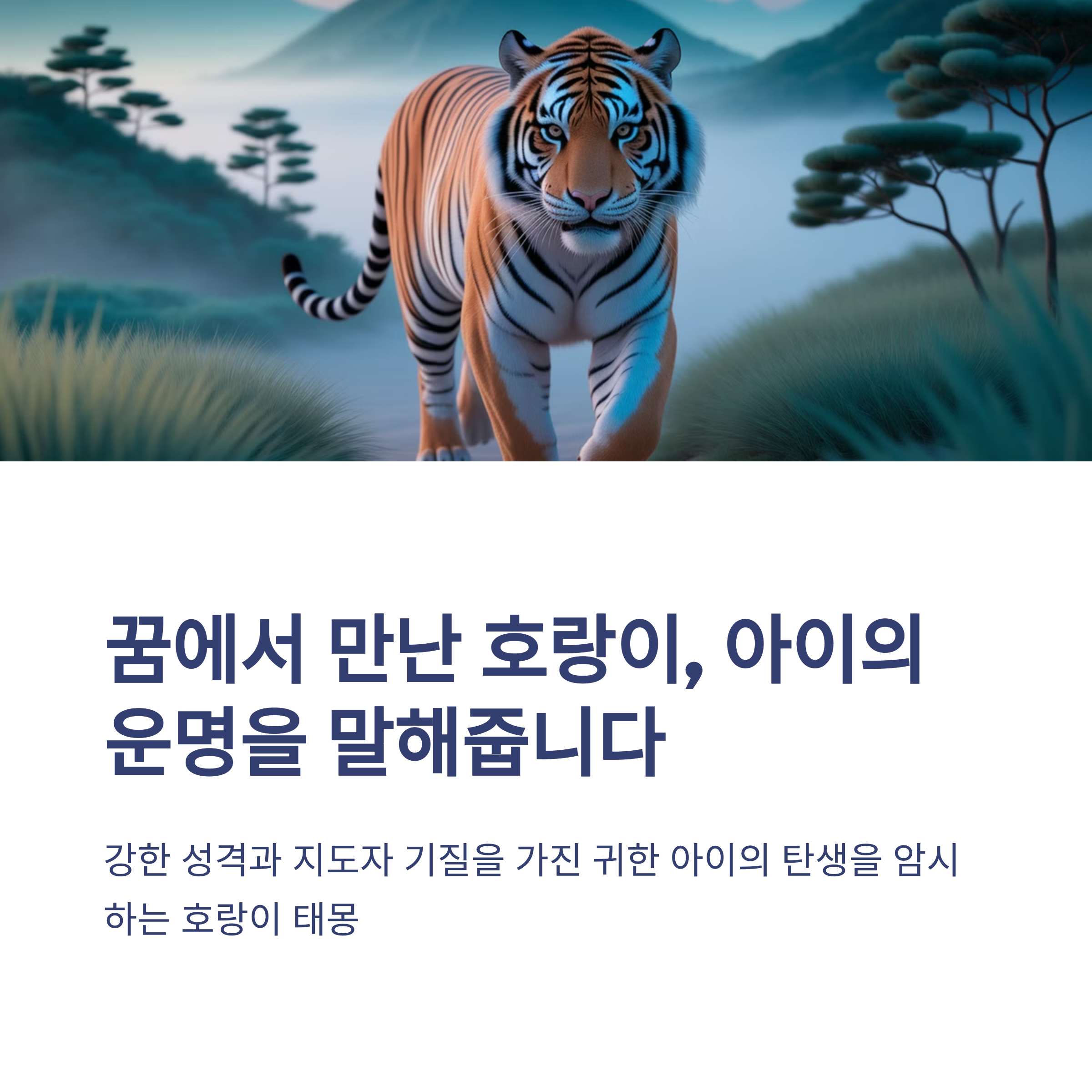 호랑이 태몽 12가지와 해몽 총정리