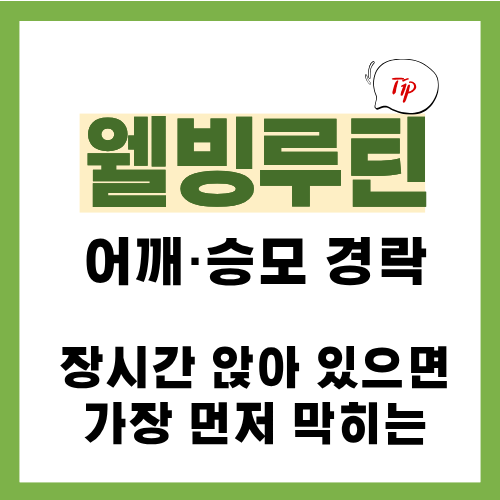 2편. 어깨&middot;승모 경락 정리｜하루 종일 앉아 있으면 가장 먼저 막히는 곳