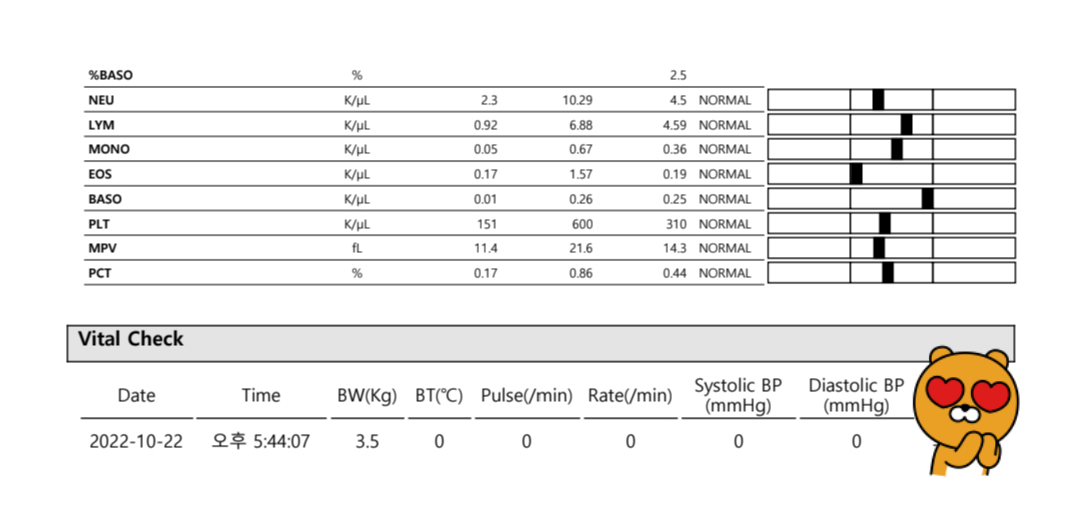 루디는 결국 병원행 ㅠ(feat. 혈액검사 결과)
