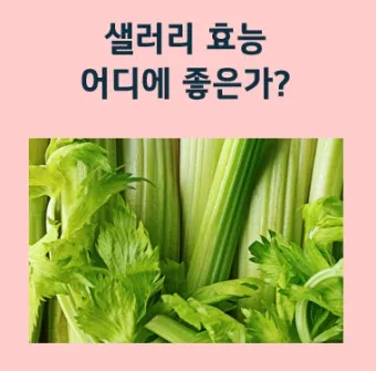 샐러리 효능 알고 먹는법 잎 생으로 손질법 요리_16