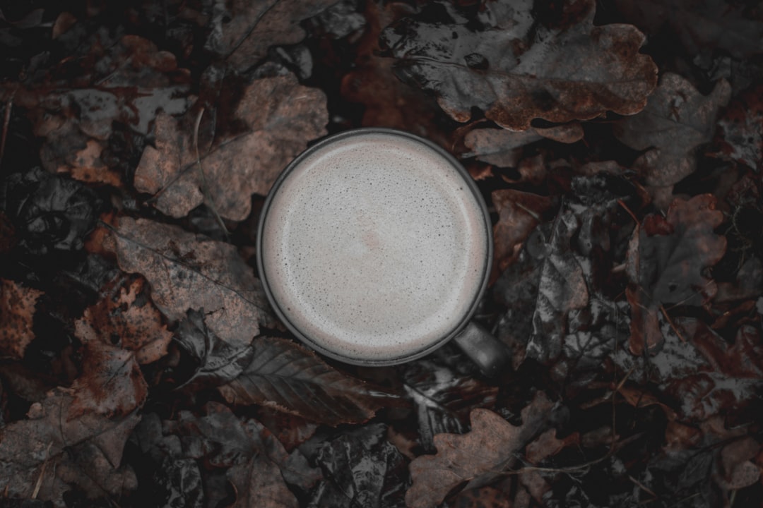 Witch's Brew