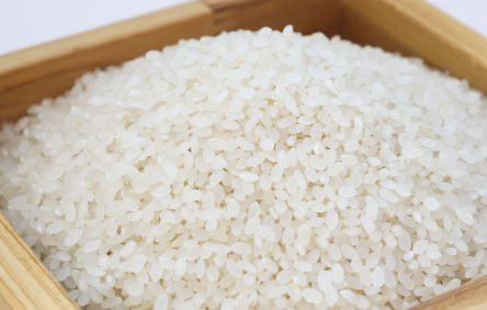 대장내시경 전 음식주의사항 16