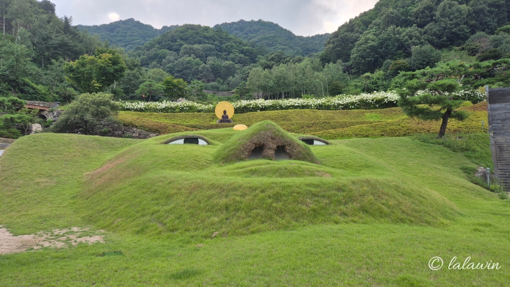금선사 잔디밭 부처님 얼굴