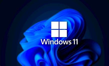 Windows 11의 설치 현황