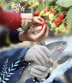 2023년 6월 경기도 축제 정보 (feat. 양평, 오산, 파주, 안산, 안양, 남양주, 가평, 부천)