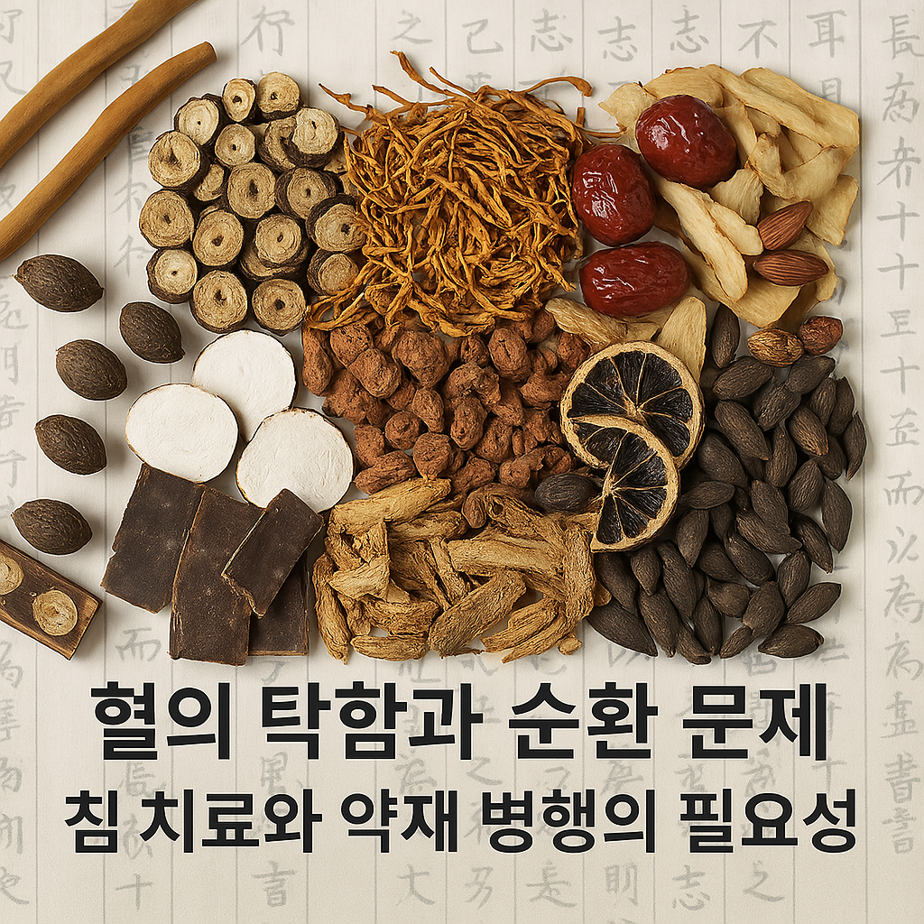 전통 한약재와 건강 회복의 조화